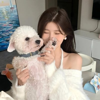 献给灰姑娘的吻封面